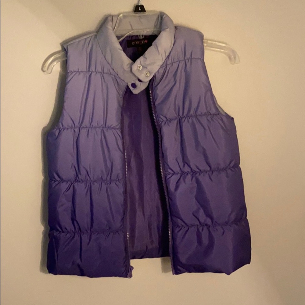 Ombre Purple Vest